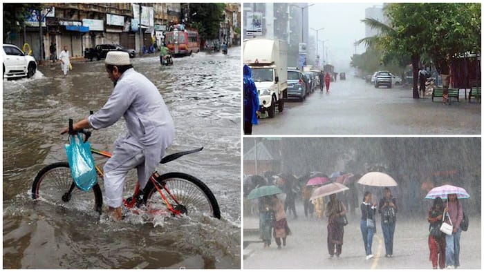 weather forecast imd warning