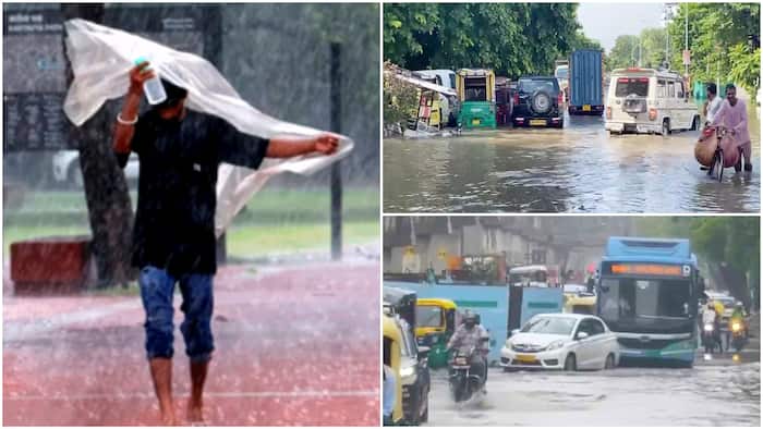 weather forecast rain imd alert