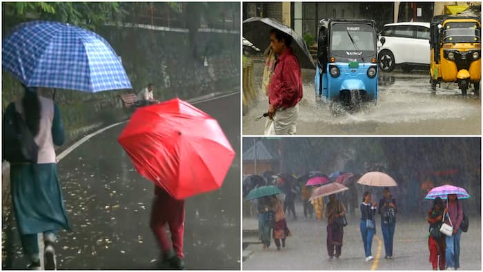 weather imd forecast