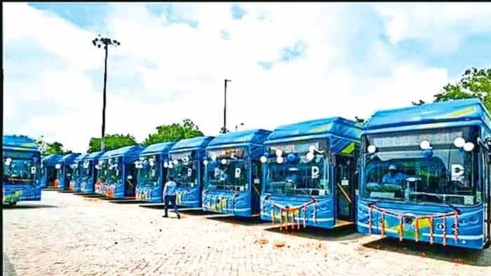 Skip the parking hassle! Check free shuttle routes, schedule for UP International Trade Show