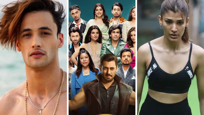 Bigg Boss 20: Asim Riaz, Rajiv Adatia and Nehal Chudasama take dig at housemates, ‘Another flop season'