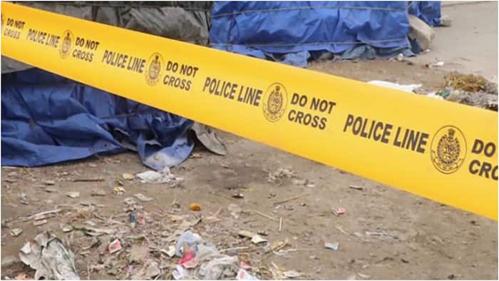 mp crime