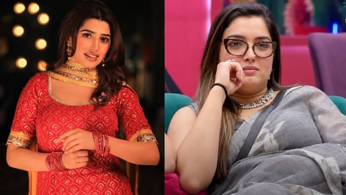 Bigg Boss 20: Love Gill’s sister slams Mahhi Vij's comments on her bond with Amrapali Dubey, says 'Very dirty mind'
