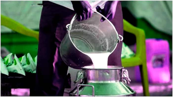 Milk Price Hike