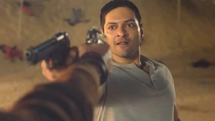 Mirzapur The Movie box office collection Day 5: Ali Fazal starrer maintains winning streak, globally nears Rs 180 crore