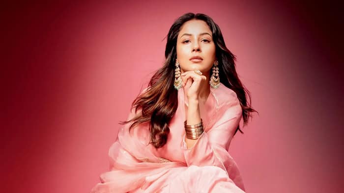 Shehnaaz Gill chants “Waheguru Waheguru” as Bigg Boss star’s flight faces heavy turbulence before landing safely at Mumbai airport: Watch video