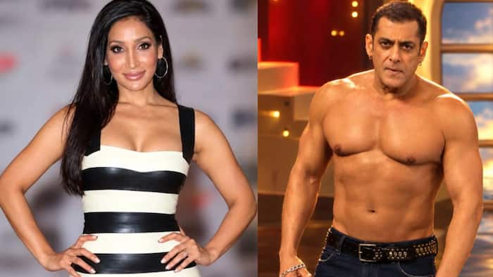 Sofia Hayat reacts to Salman Khan’s Bigg Boss 20 shirtless moment, recalls his body-shaming comments on her: 'Hypocritical idiot...'