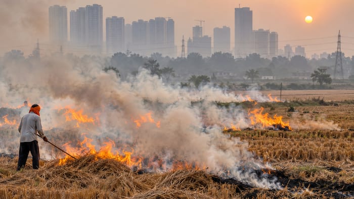 Stubble Burning: How effective have satellite surveillance, drones and fines been?