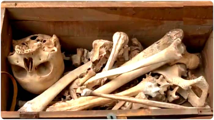 delhi skeleton crime news