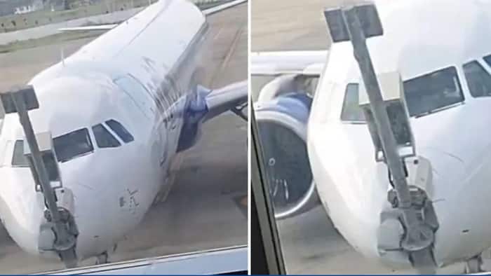 IndiGo flight hits pole during parking at Srinagar airport, aircraft damaged; Probe ordered