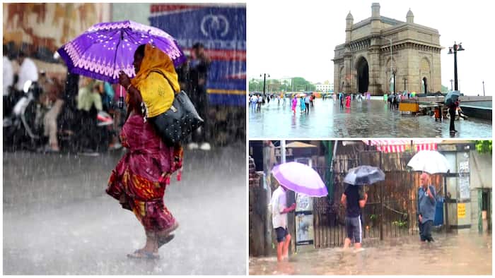 maharashtra weather mumbai rain imd
