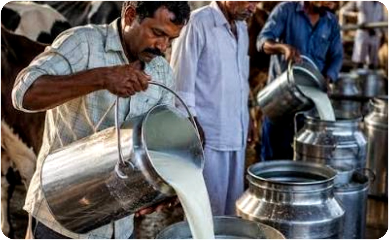 Milk price hike: Odisha government raises procurement price by Rs 2 per litre for dairy farmers from this date