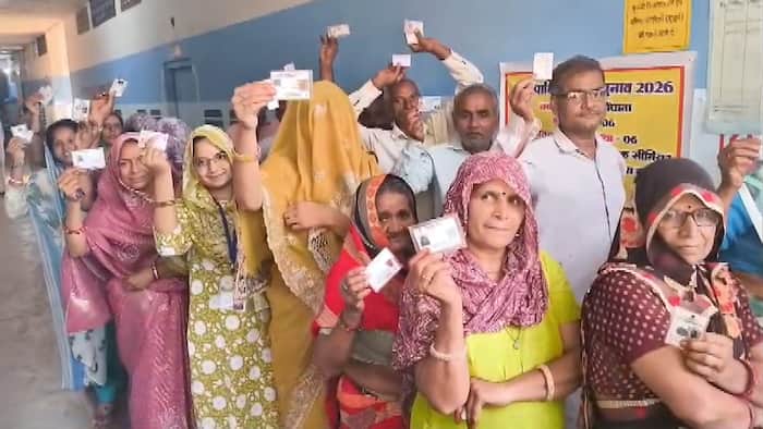 Rajasthan municipal election result 2026: ward-wise WINNERS list; check winning candidates from Udaipur, Jaipur, Jodhpur, Barmer, Bikaner, others