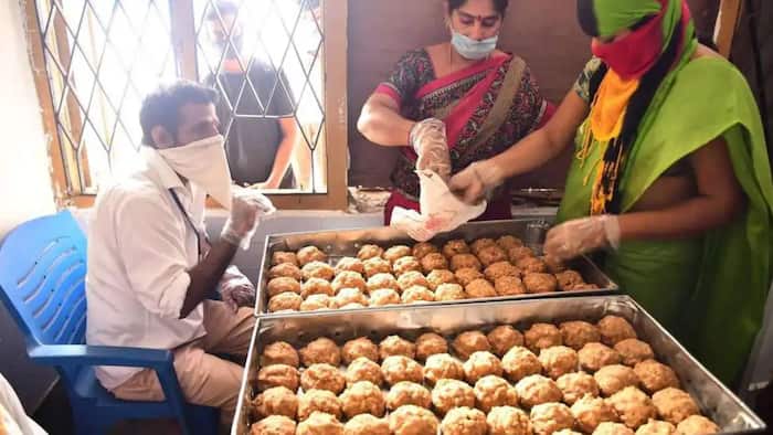 Tirupati laddu row: ED claims adulterated ghee was passed off as 'special grade cow ghee' to make prasadam, Sukriti Foods promoter arrested