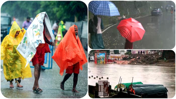 weather forecast rain thunderstorm (2)