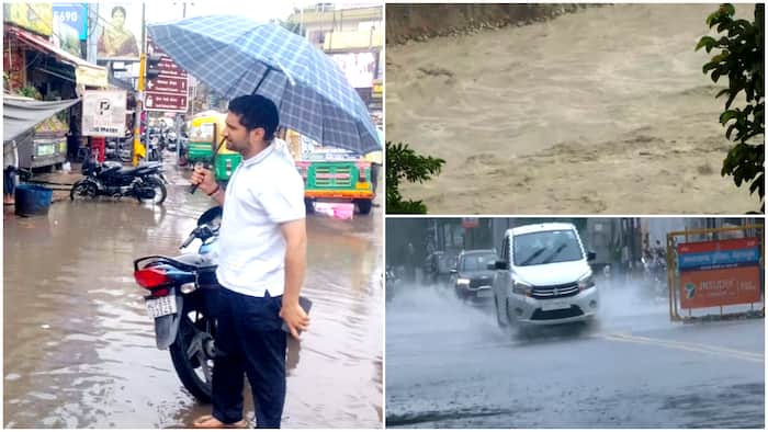 weather heavy rain imd forecast