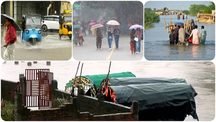 weather heavy rain thunderstorm imd forecast