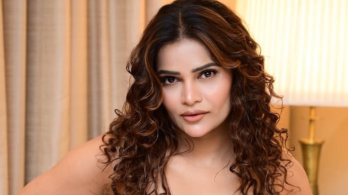 Bigg Boss 16 fame Archana Gautam's Mumbai cafe robbed, shares CCTV video: 'Picked up the whole cash counter'