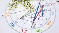 How to read a rashi in a vedic birth chart? Understanding the connection between rashi, graha, bhava, and rashi swami