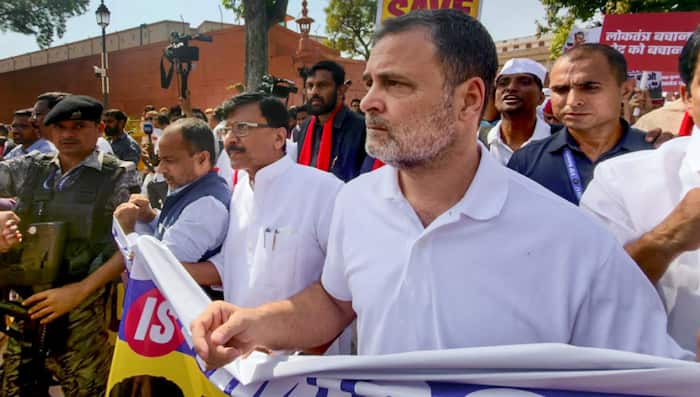 Rs 220 fee shortfall, missing documents, blurred ID: SC flags 14 defects in Rahul Gandhi's plea against EC