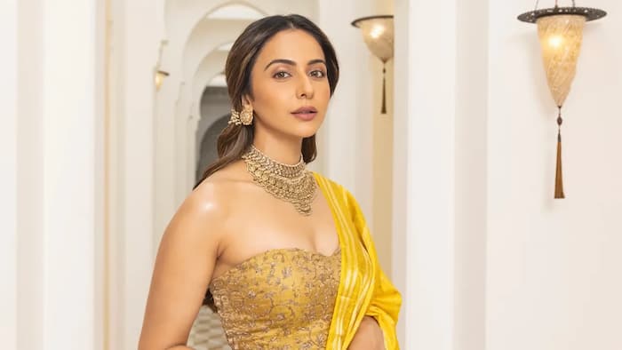 Rakul Preet Singh breaks silence on Income Tax searches over fund irregularities: 'Have been paying my due...'