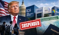 Big setback for Indians in US as Trump administration suspends Microsoft, Infosys, Wipro, TCS from green card programme
