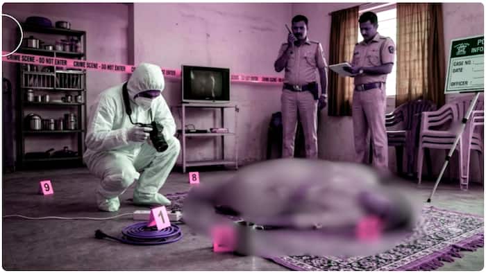 crime news
