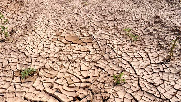 drought rain