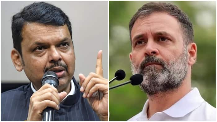 fadnavis rahul gandhi