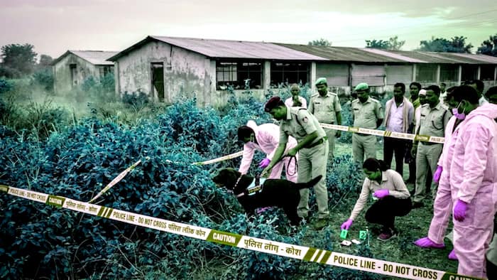 girl raped crime news