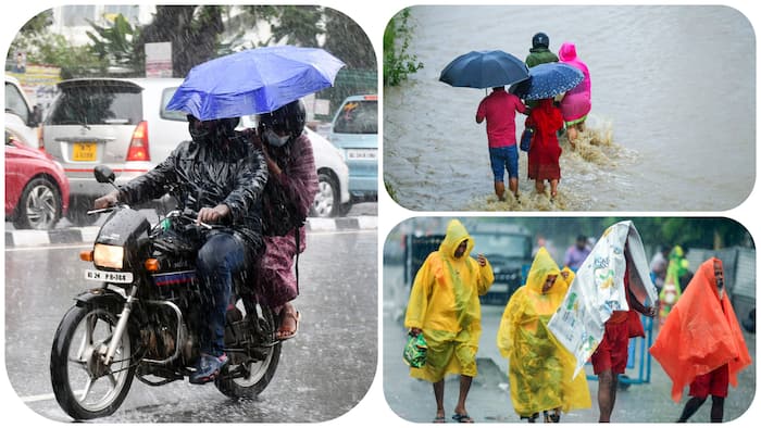 imd forecast rain weather