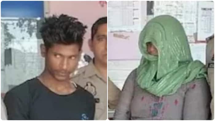 meerut murder crime news