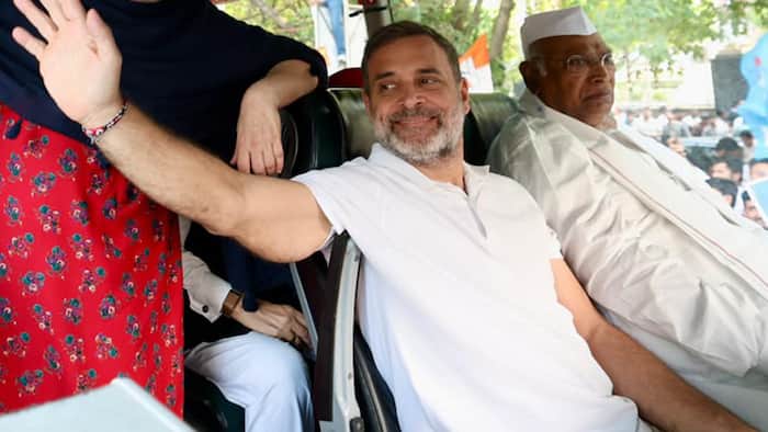 'All protests are one': Rahul Gandhi invites opposition MPs, student groups for tea amid demand for CEC's resignation